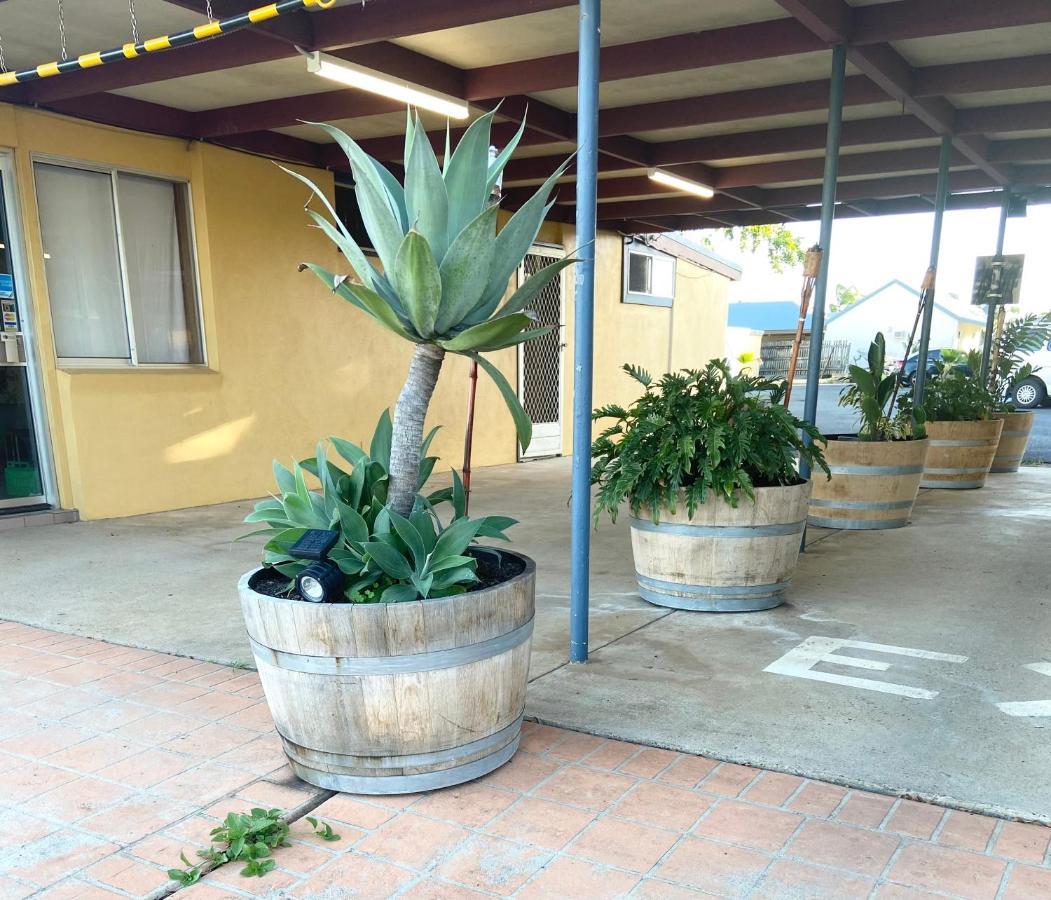 Proserpine Motor Lodge מראה חיצוני תמונה